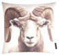 Preview: Magma Kissenhülle Wild Animals 'Widder' 45 x 45 cm Natur - Beige